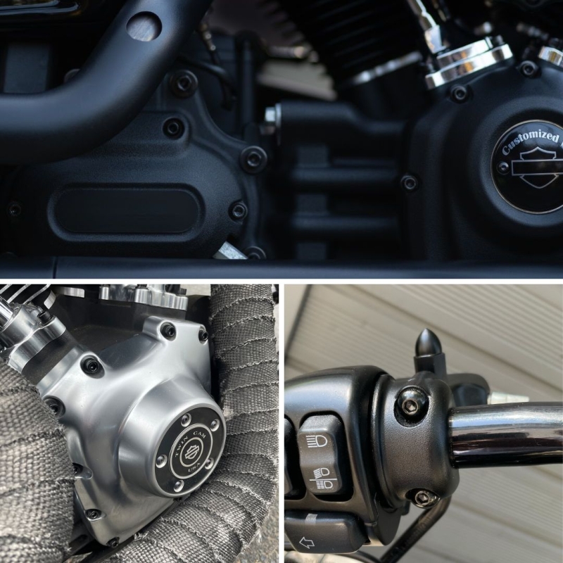 Softail Schraubensatz komplett | pass. f. Softail
